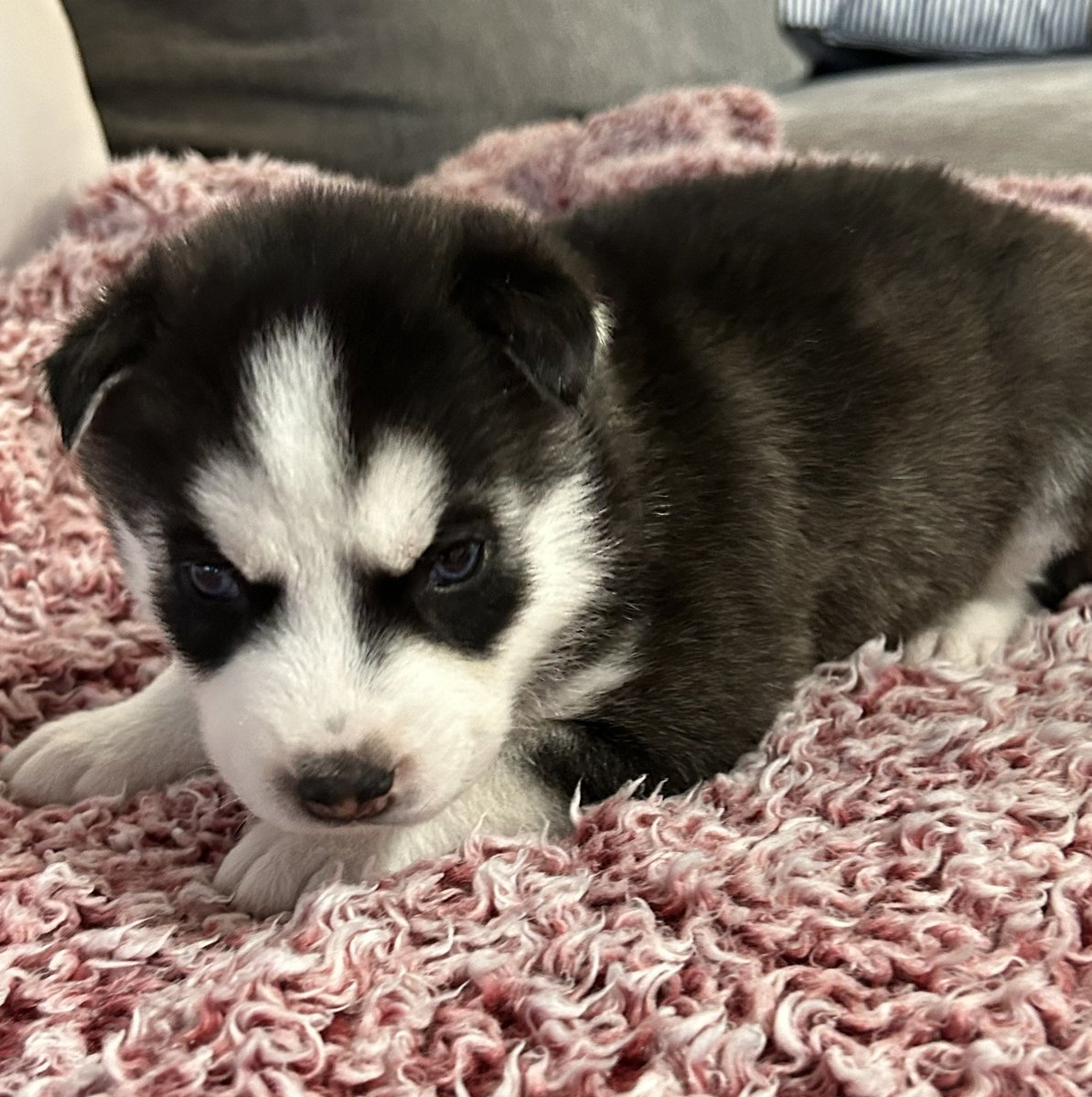 jonathan a watts tweet media