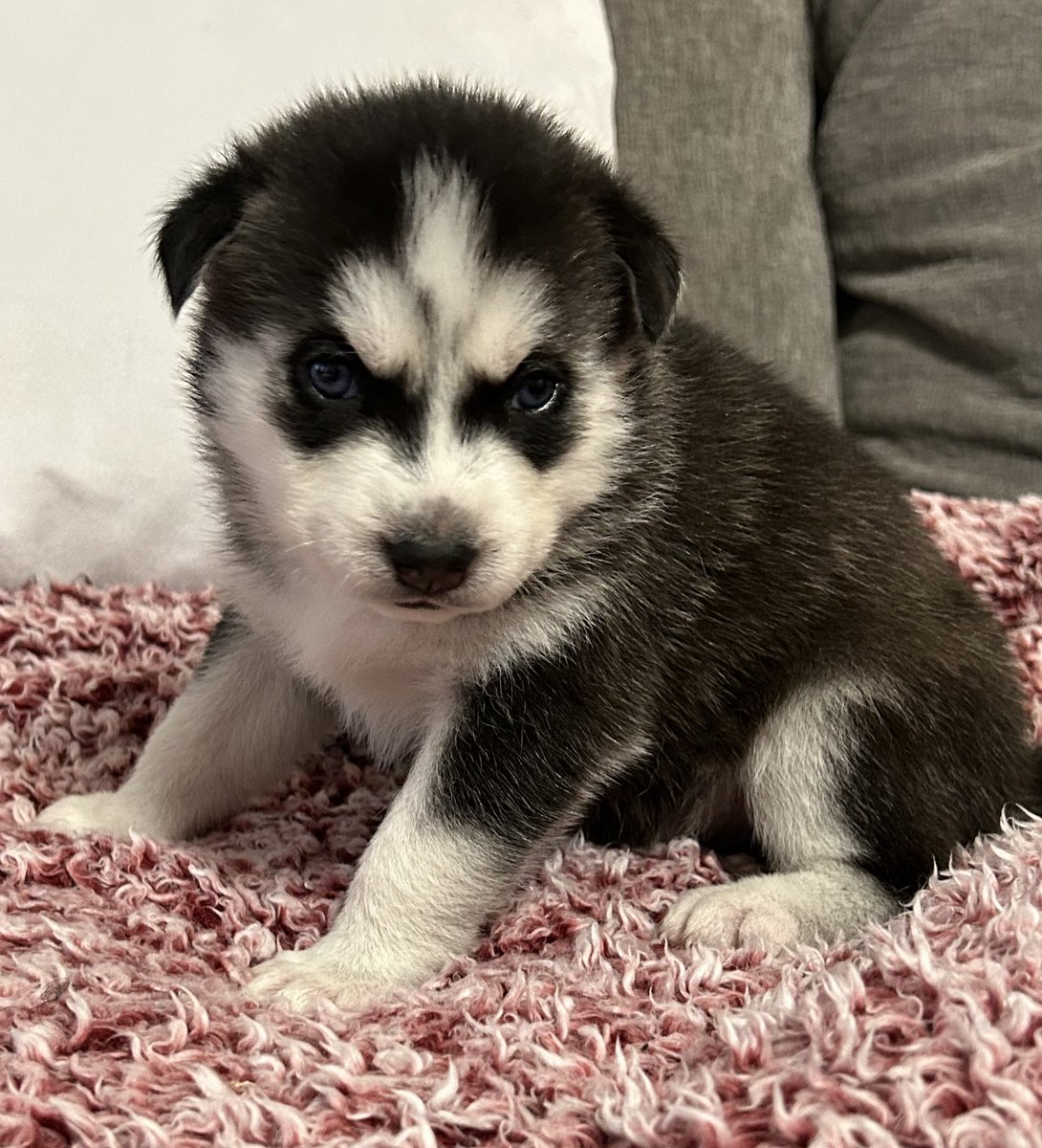 jonathan a watts tweet media