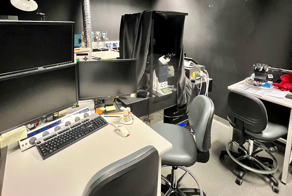 ACRF INCITe Centre (@incitecentre) on Twitter photo Congratulations <a href="/Croucher_Lab/">Network Biology Lab</a> <a href="/sharissa_latham/">Sharissa</a>
and collaborators, including multiple users of our INCITe centre.
Here are the inverted #multiphoton #microscopes used in their work <a href="/LeicaMicro/">Leica Microsystems</a>
#biosensor #intravital
<a href="/Timpson_Lab/">Invasion and Metastasis Lab</a> <a href="/GarvanInstitute/">Garvan Institute of Medical Research</a>
science.org/doi/10.1126/sc⦠Congratulations <a href="/Croucher_Lab/">Network Biology Lab</a> <a href="/sharissa_latham/">Sharissa</a>
and collaborators, including multiple users of our INCITe centre.
Here are the inverted #multiphoton #microscopes used in their work <a href="/LeicaMicro/">Leica Microsystems</a>
#biosensor #intravital
<a href="/Timpson_Lab/">Invasion and Metastasis Lab</a> <a href="/GarvanInstitute/">Garvan Institute of Medical Research</a>
science.org/doi/10.1126/scβ¦