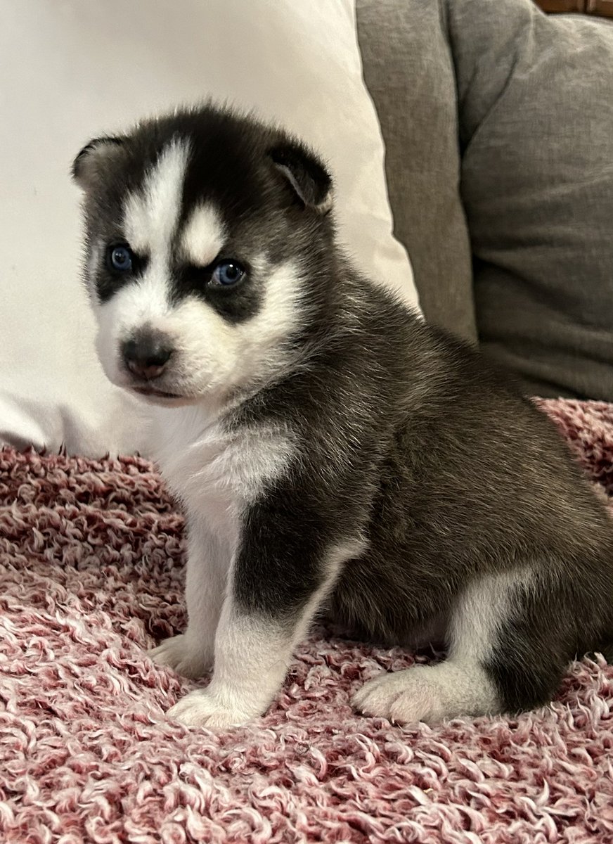 jonathan a watts tweet media