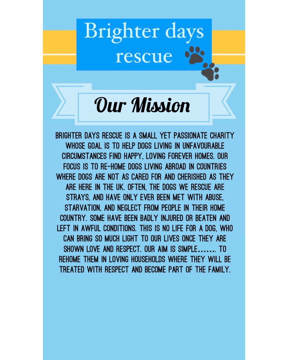 💛Brighter Days Rescue dogs💛 tweet media