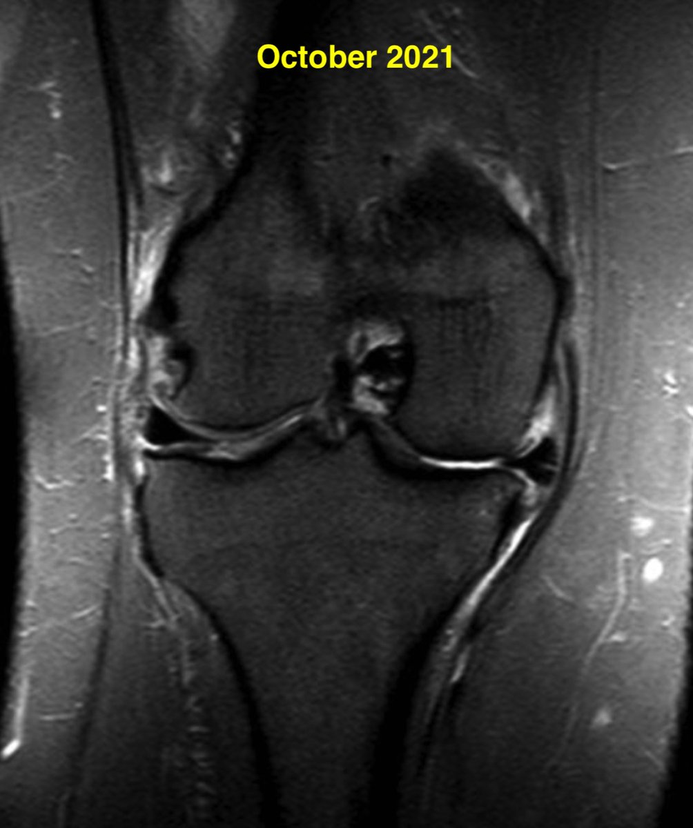 Daniel Liechti, MD tweet media