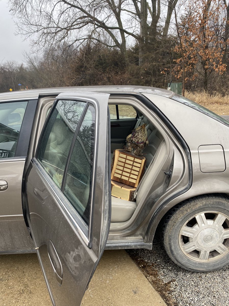 Spring is almost here; new possibilities, new hope. Natures gift is Spring; <a href="/AudubonGolf35/">Audubon Golf & Country Club</a> gives us the Rooster Cup—who will cease their moment in the Sun?  Rooster Trophy on way to Audubon in Goo Caddy <a href="/LPN_Greens/">LPN_Greens</a> <a href="/sahrendsen07/">stevo</a>