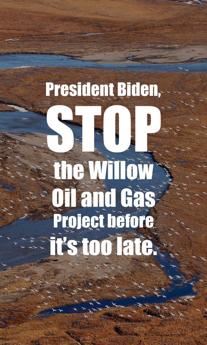 O presidente Biden está a um passo de aprovar um enorme projeto de petróleo e gás nas #AméricasArctic. Visite ProtectTheArctic.org/stop-willow para enviar rapidamente seu comentário à Casa Branca pedindo a Biden que #StopWillow.