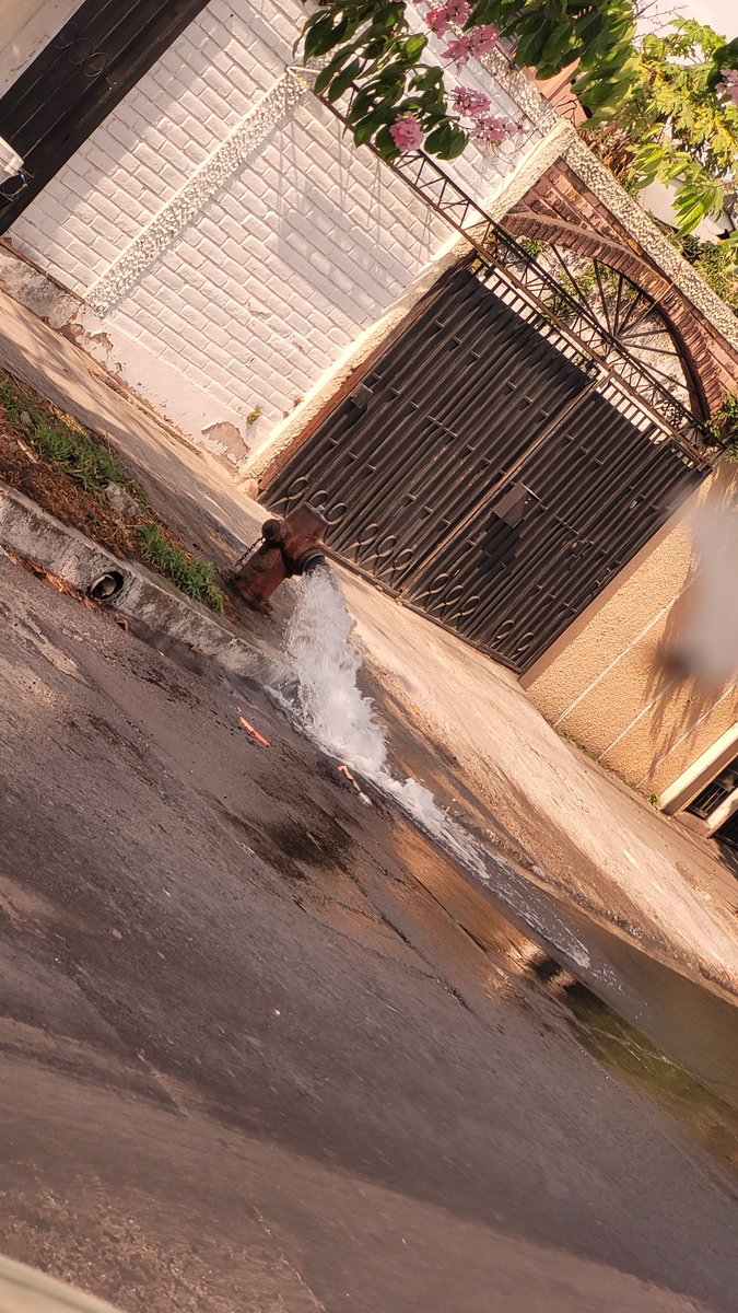 VictimaDemanda's tweet photo. Enorme fuga de agua en la intersección de calle Constitución y avenida Bernal @ANDASV @alcaldia_ss https://t.co/uz6xfnk4sO