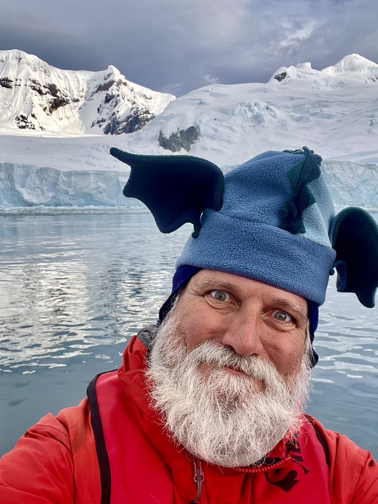 And so we bid farewell to Antarctica with on last zodiac cruise around Fourier Island. Crabeater seals and a drop stone in the making. @Polar_Experts