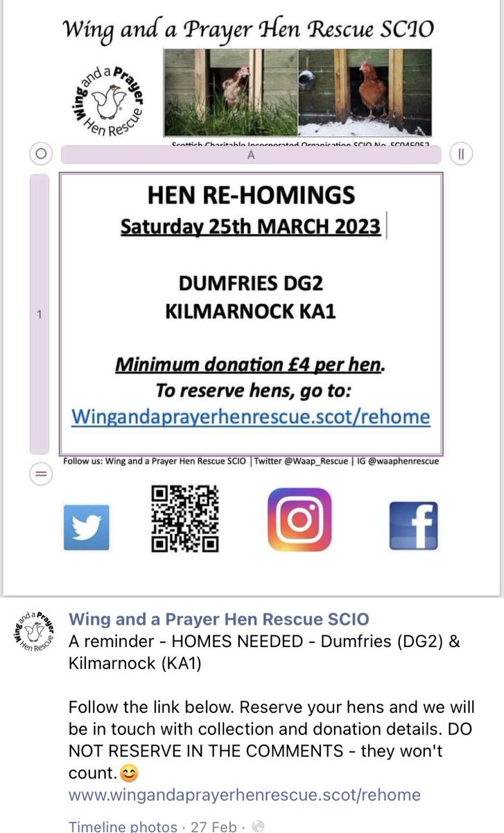 #Dumfries #Kilmarnock <a href="/DGStandard/">Dumfries Standard</a> <a href="/KillieStandard/">Kilmarnock Standard</a> Homes needed - reserve via website.