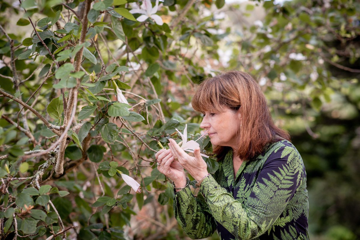 NTBG's tweet photo. On #InternationalWomensDay, take time to read how women lead our efforts to save plants, protect habitat, and drive our organization at every level, in every capacity from the board room and offices to our lab, nursery, on the grounds, and in the field. https://t.co/foEGqlHrYx https://t.co/vxKfbPrhNF