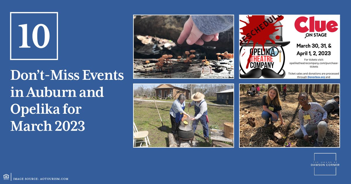 dawsoncornerau's tweet photo. From the theatre to getting out and being active, there are plenty of #events happening this month you won’t want to miss! 🎭🌳🗓

👨‍💻 Read our #blog to check out our handpicked top 10 events. https://t.co/lds3AcQEJY https://t.co/z7kyJncMTO