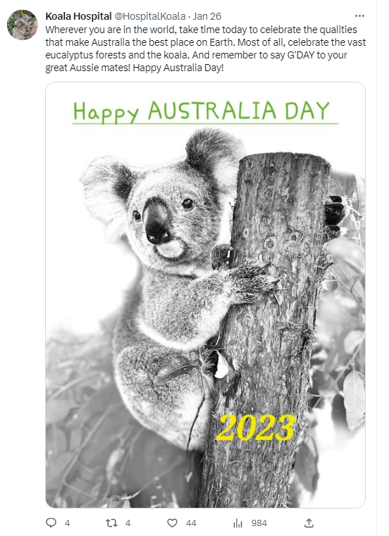 KHSRC1's tweet photo. They are doing a great job at the #wildlife #hospital β every day is #AustraliaDay for the #koalas β although we are not looking after them well enough.
π¨πΏ
#KoalaStuff #KoalaMerch #WildlifeVet #Vets #ThursdayThoughts #ThursdayFeels https://t.co/zkxKwHk32B