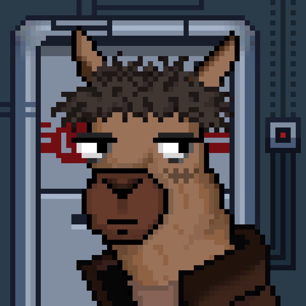 NFTSlooply's tweet photo. Just copped another @Llamaverse_ NFT!!! Bullish on the whole team and mostly bullish on @NFTLlama and @Hellequinnn 🤍
#llamaverse https://t.co/SD0V6ESIzJ