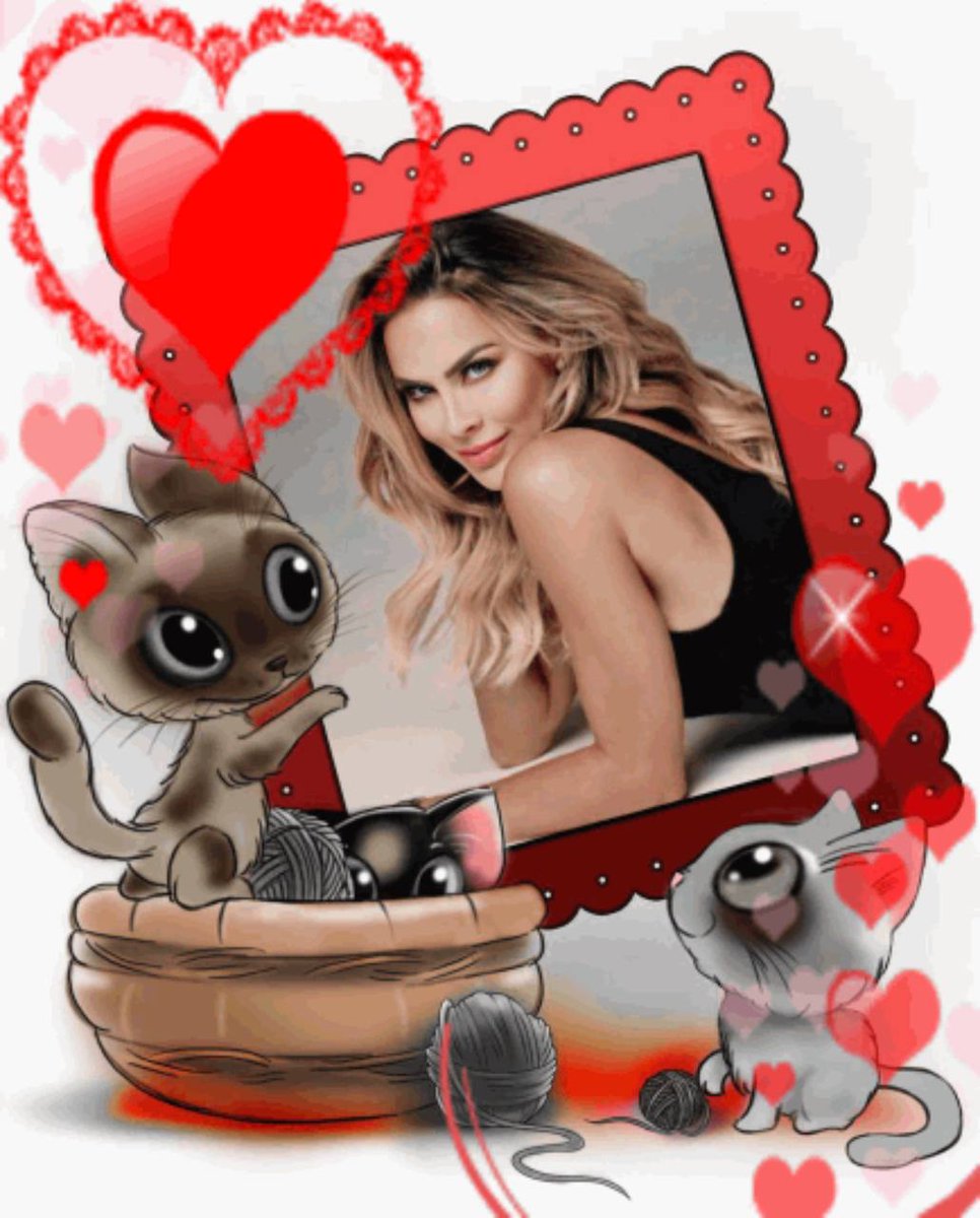 AliceKarolay's tweet photo. Aylin Mujica apoyandote siempre
#AylinMujicaSeQueda #AylinMujicaNoseva #AylinTeApoyamos #AylinSeQueda ๐งโโ๏ธ๐ฑ๐งโโ๏ธ๐ฑ๐งโโ๏ธ๐ฑ๐งโโ๏ธ๐ฑ๐งโโ๏ธ๐ฑ๐งโโ๏ธ @aylinmujic @telemundorealities @telemundo @jimenagallegotv #LCDF #LCDF3 https://t.co/uYZgeHHbCs