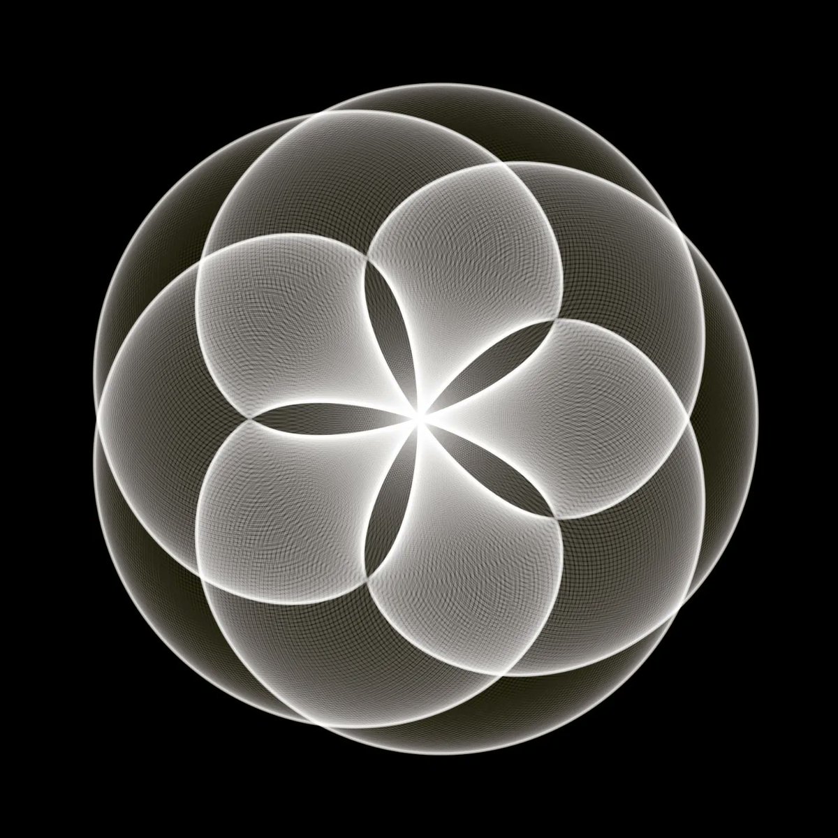 patternseeing's tweet photo. Daily sketches
.
.
#crearivecoding #generativeart #processing #mathart https://t.co/fEypwO8adg