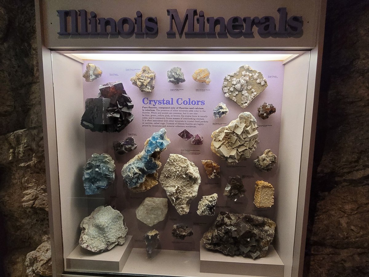 MrsBaldwin4's tweet photo. Illinois State Museum was a highlight @WmFMurphy68 https://t.co/Y6ZFyQnWb3