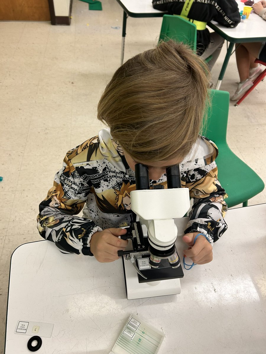 Kelly Zoucha tweet media