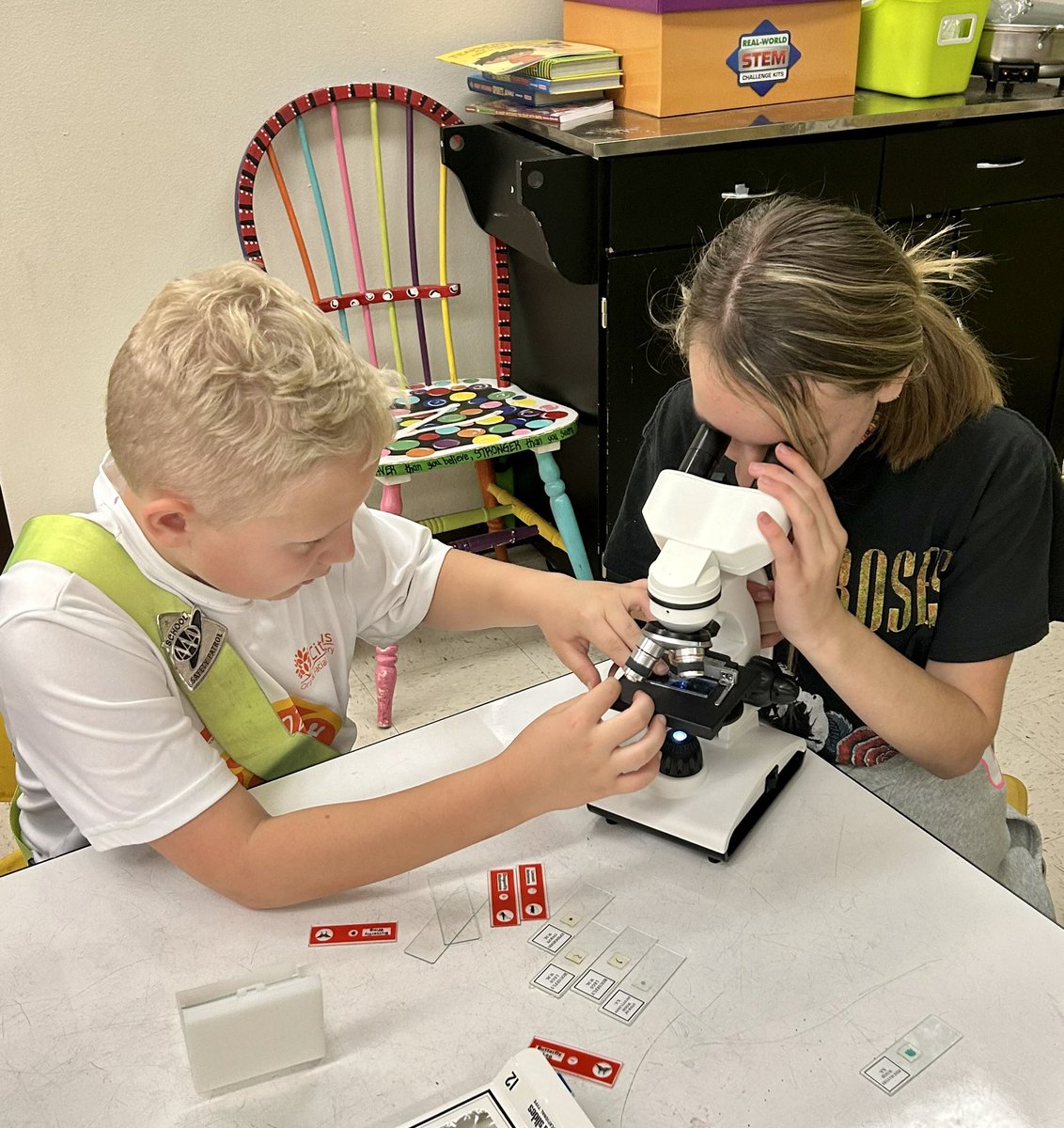 Kelly Zoucha tweet media