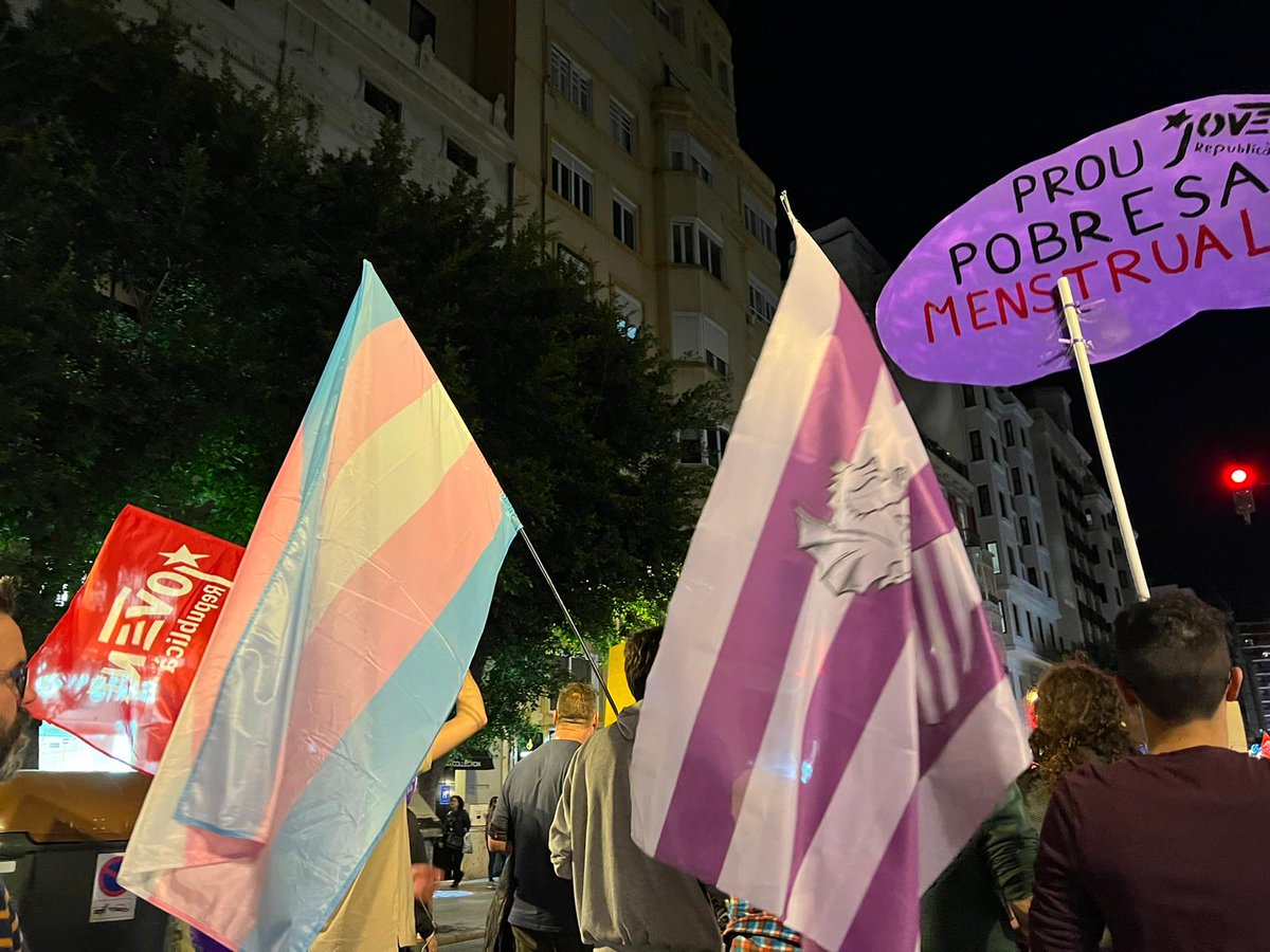 esquerrapv's tweet photo. ✊️Hui hem reivindicat, un dia més, la igualtat i el dret de les dones a tindre tots els drets.♀️

La discriminació menstrual estaria eradicada al País Valencià si el Botànic no haguera paralitzat més d'un any la @ILP3VoltesRebel en les Corts. 

Hui, però, han parlat d'igualtat https://t.co/43mRRY3t9X