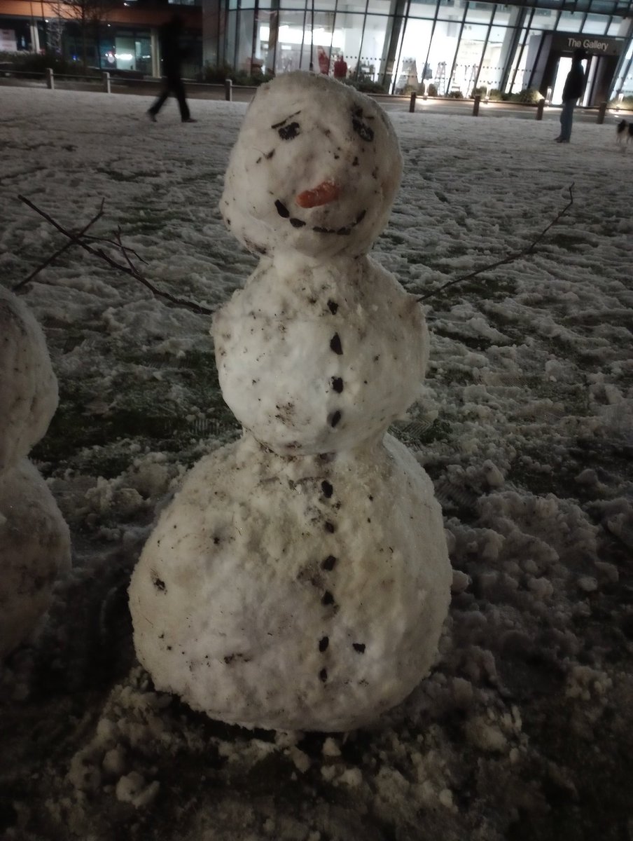 myahEO's tweet image. Familio de neĝuloj #britio #neĝo