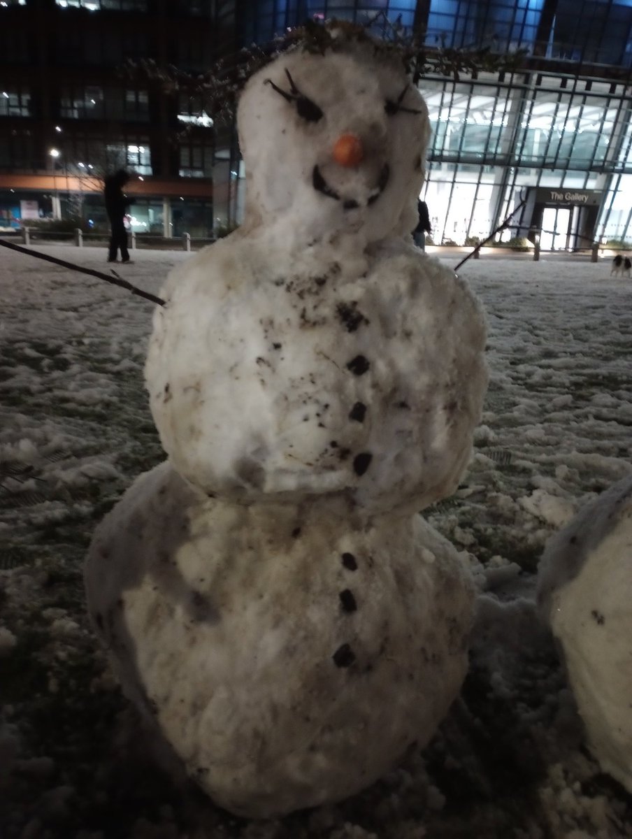 myahEO's tweet image. Familio de neĝuloj #britio #neĝo