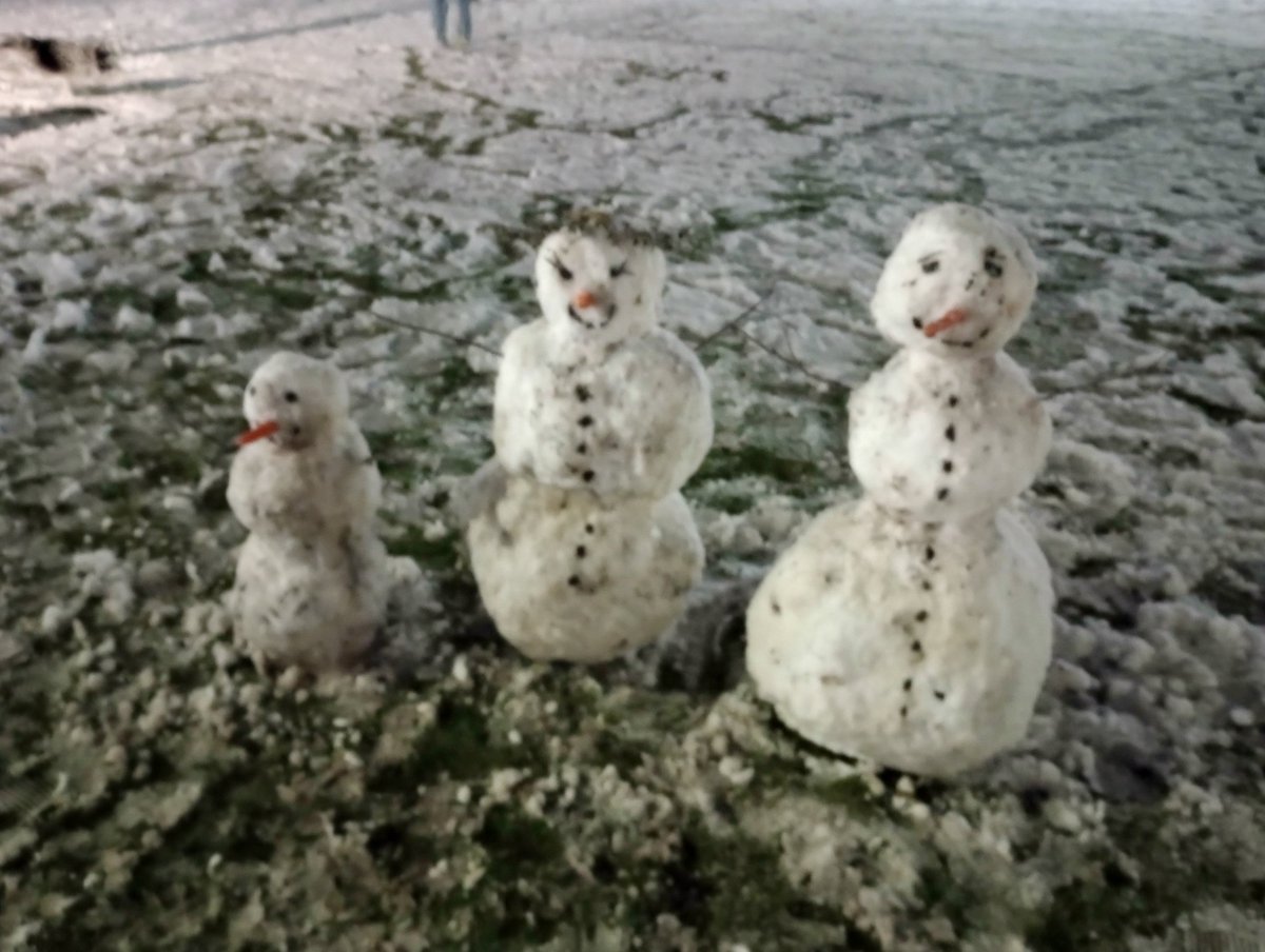 myahEO's tweet image. Familio de neĝuloj #britio #neĝo