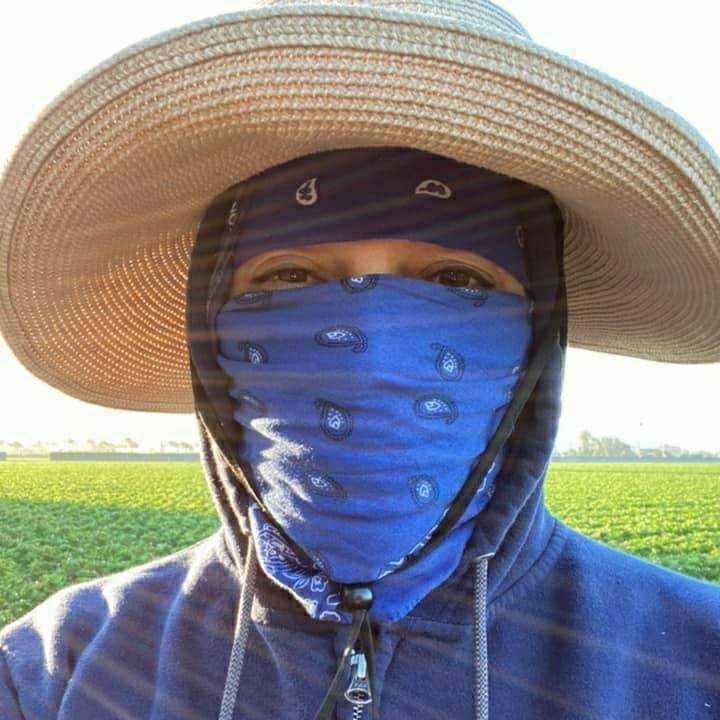 United Farm Workers tweet media