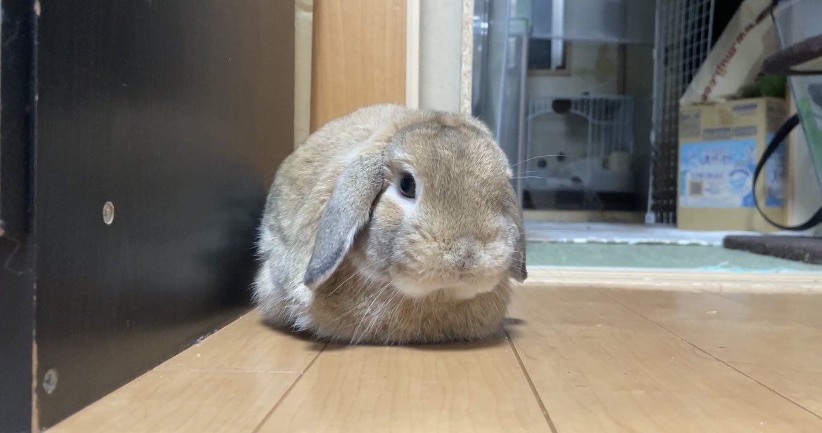 おはようございます😊パソコンがまだ治らず、本日もYouTubeの更新をお休みさせて頂きます🙇🏻‍♀️