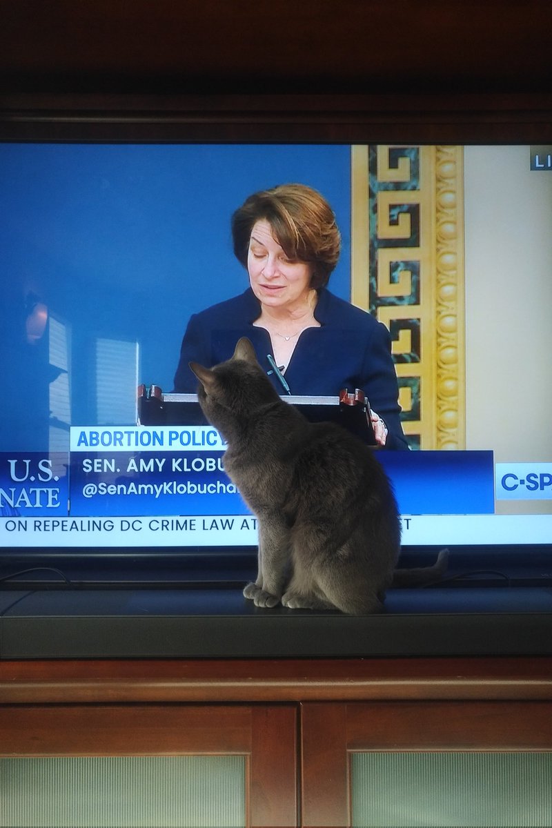 Amy Klobuchar points our her daughter has fewer rights than her mother or grandma.  Starry as usual approves.
#WomensHealthProtectionAct