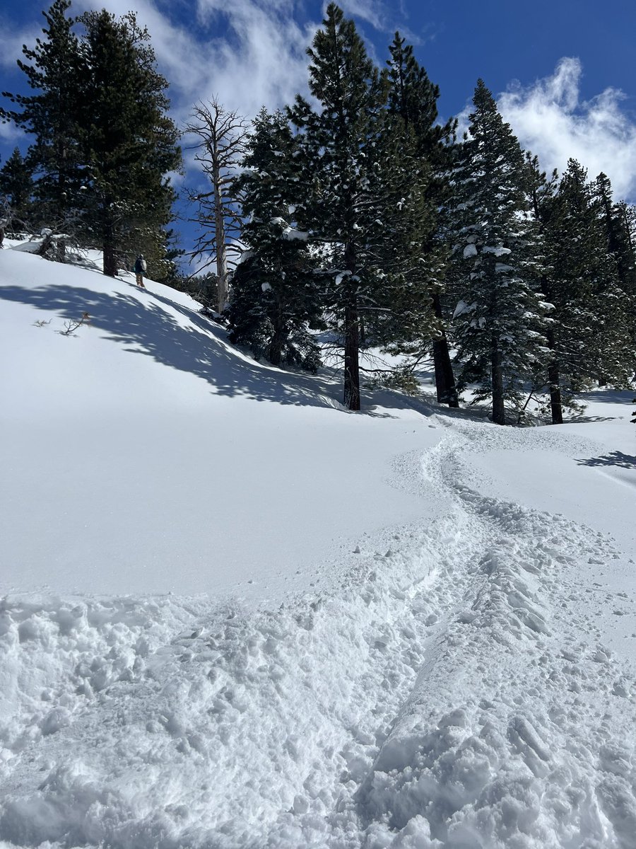 nlamm's tweet photo. Fresh tracks all day. More pls! @skiheavenly https://t.co/JlrVu0y7m7