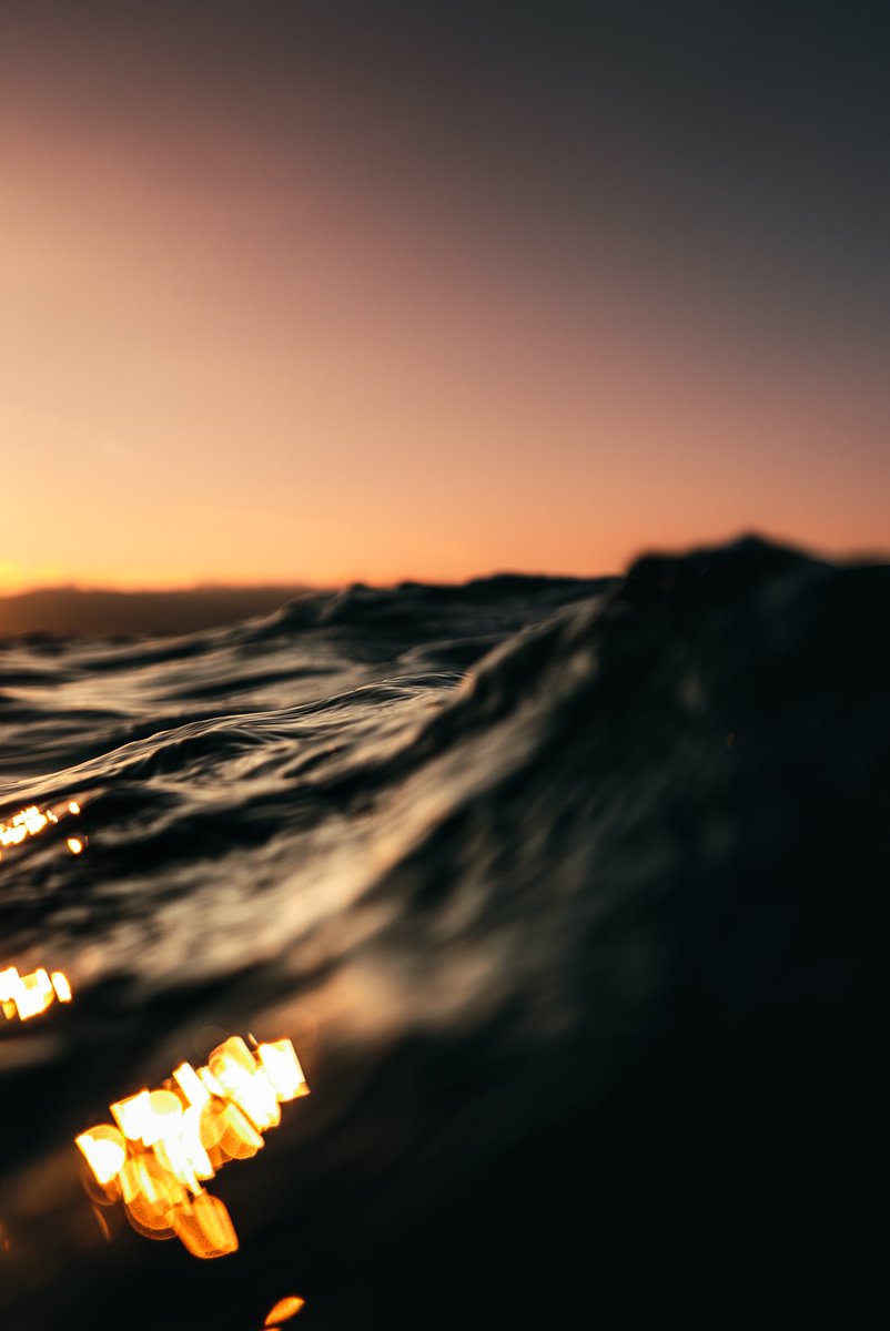 jaimedelpizz0's tweet photo. golden hour November swim in Washington State https://t.co/vcSnHqg65F
