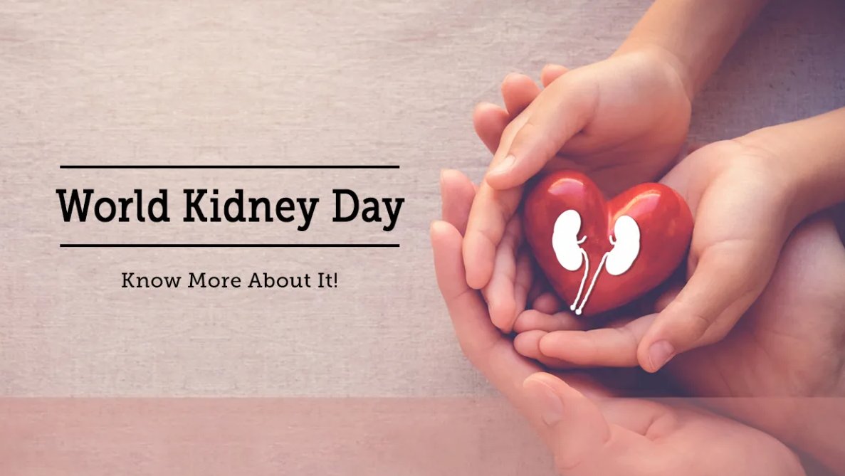 RisingKashmir's tweet photo. #WorldKidneyDay2023: #Kidney #Health for #All
#Chronic #kidney #disease (CKD) has #become a #common but #underdiagnosed #problem
Writes DR. SANJEEV GULATI
https://t.co/tokQVJ8uDS https://t.co/Ee3eBzWnlM