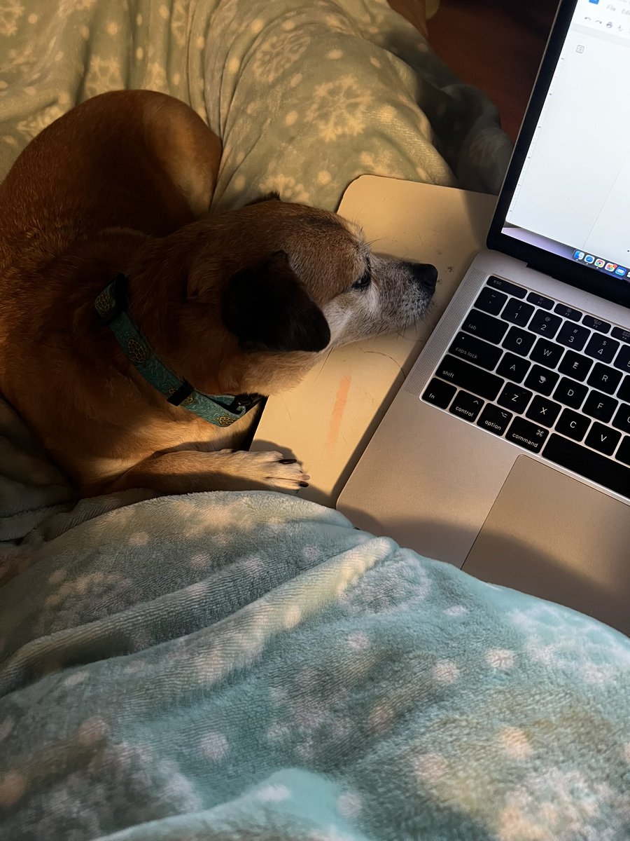 Being an Admin often requires “homework” and doing it with a partner is always more fun!