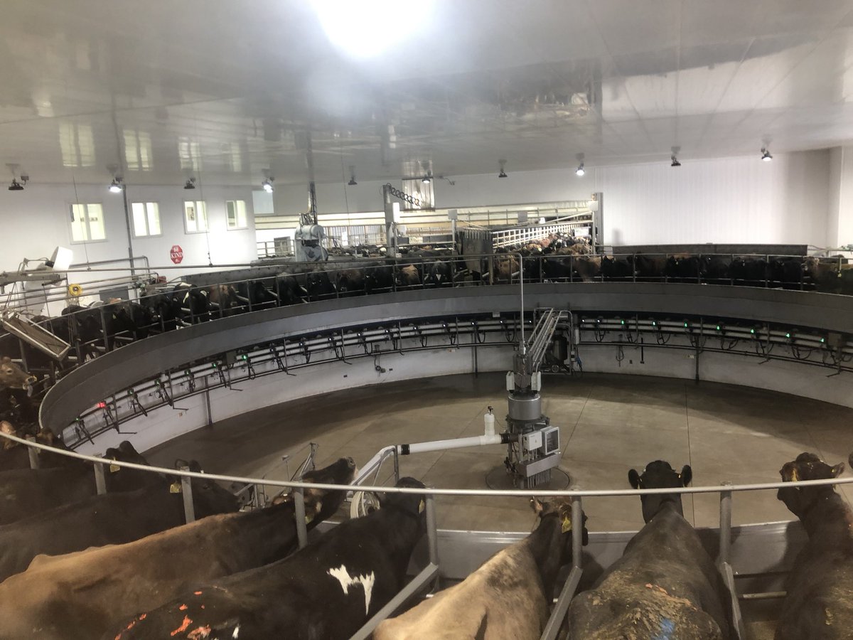 Noah Phillips tweet media