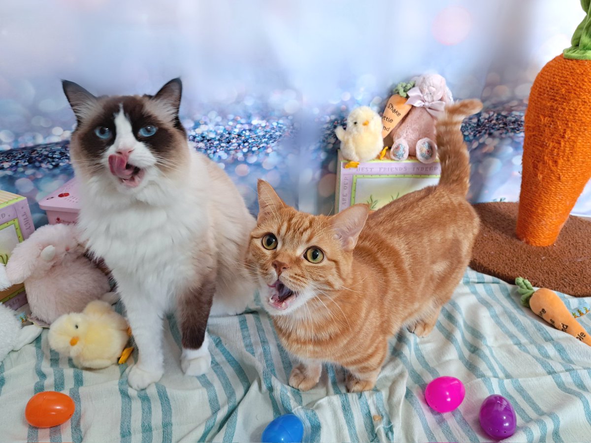 ♡おんぷ♡ 今日は「今夜くらべてみました」に出るよ😻😻😻 ぜひ見てね💕💕 ピアス