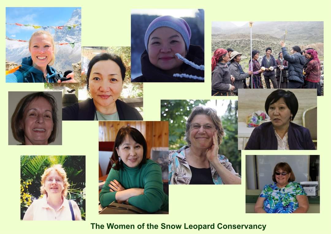 Whether in the field or behind the scenes, we salute you, women of the Snow Leopard Conservancy! 

Happy International Women's Day 2023!!