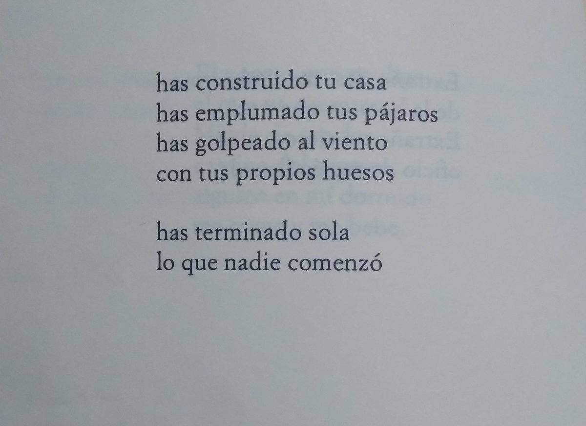 Para mí, de los poemas más esperanzadores de Pizarnik. Quería compartirlo hoy.