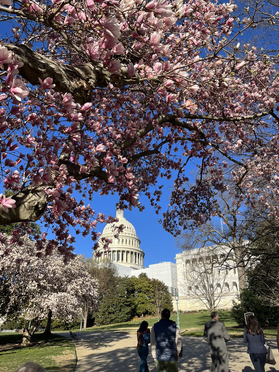 ClarissaACNP's tweet photo. #NPFAdvocacy @NPF preparing to speak to my representatives about #psoriaticdisease and #chronicillness tomorrow https://t.co/YS6nUpmWhz