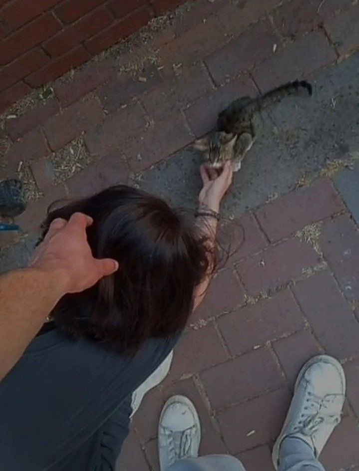 Madi Fitz 🌶 (@madiifitz) on Twitter photo 