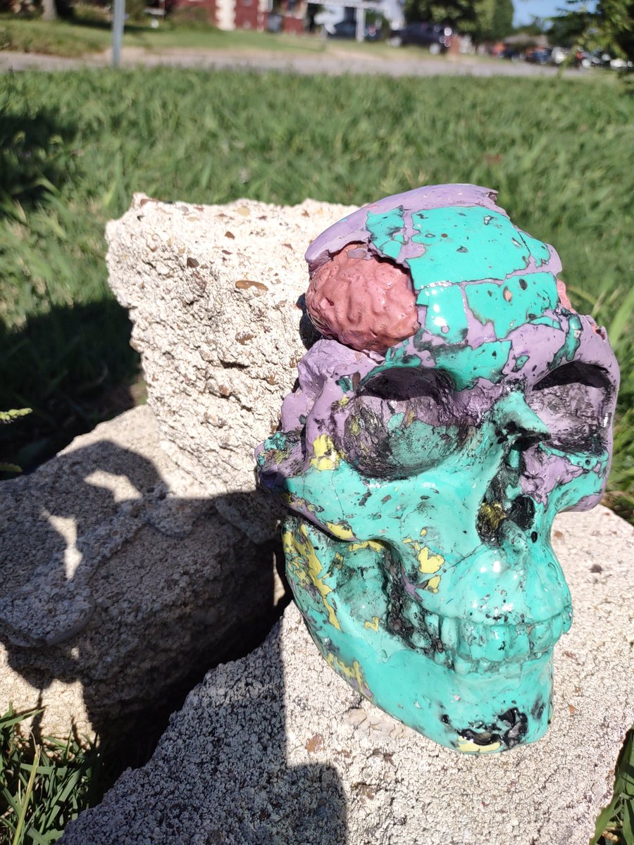 krushskulls's tweet photo. No paint. The colors are the material. If you scratch or while i carve details there is no loss of color
The process is called : scagliola 
https://t.co/qzjRIgzWHd

#skulls #skull #skeleton #oddity #macabre #art #handmade  #oneofakind #scagliola #scagliola #unique #decor https://t.co/TE49AM2khD