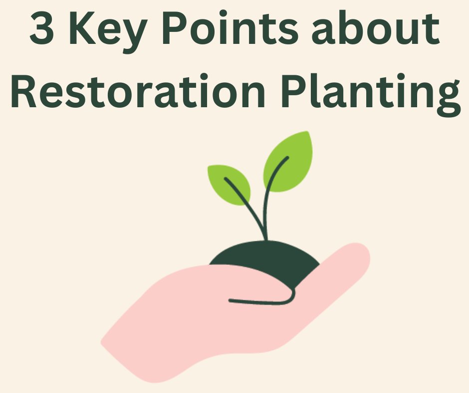 Our podcast about restoration planting has lots of tips to help you start planting native vegetation on farm. Here are three key points that we talk about in this week's blog.