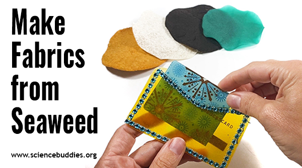 ScienceBuddies's tweet photo. New student #scienceproject: “Make Sustainable Fabrics from Seaweed” — Experiment with making #biofabrics from alginate.
 
https://t.co/9ChQNlPogD

TY @MilliporeSigma  for supporting #greenchemistry student #STEM
#sciencefair #scienceteacher https://t.co/6XJbiiXU6q