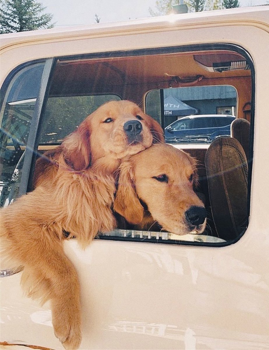 ramé (@escritosrame) on Twitter photo 