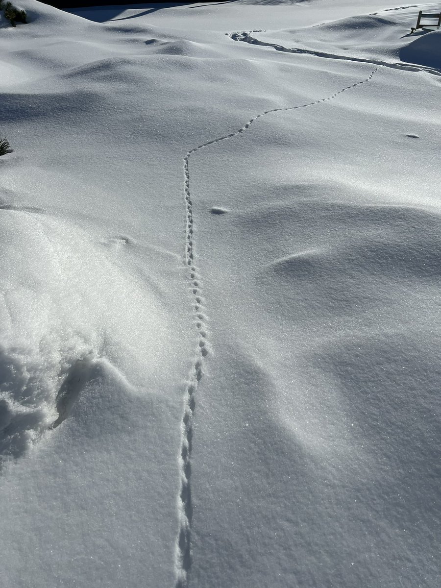 Eric Dreier tweet media