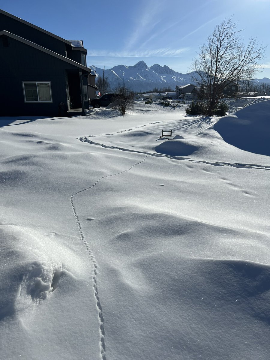 Eric Dreier tweet media