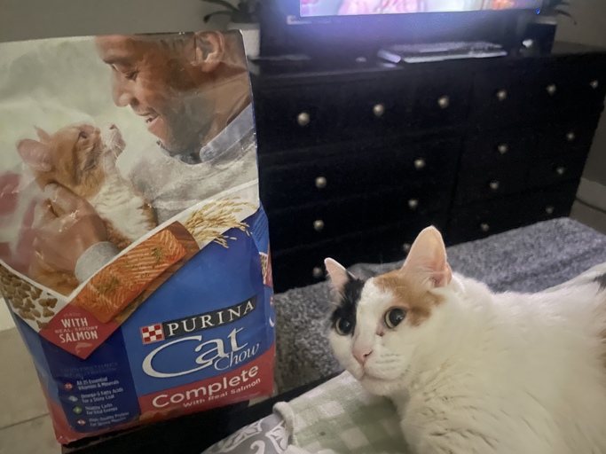 atorres204's tweet photo. Come Home to Purina Cat Chow with the comfort of trusted nutrition that fits your cat's needs, lifestyle, and taste preferences! #CatChowCompleteSalmon #FurBuddies #ad https://t.co/Ks1WEV2SmX https://t.co/dYgcQfOcCj
