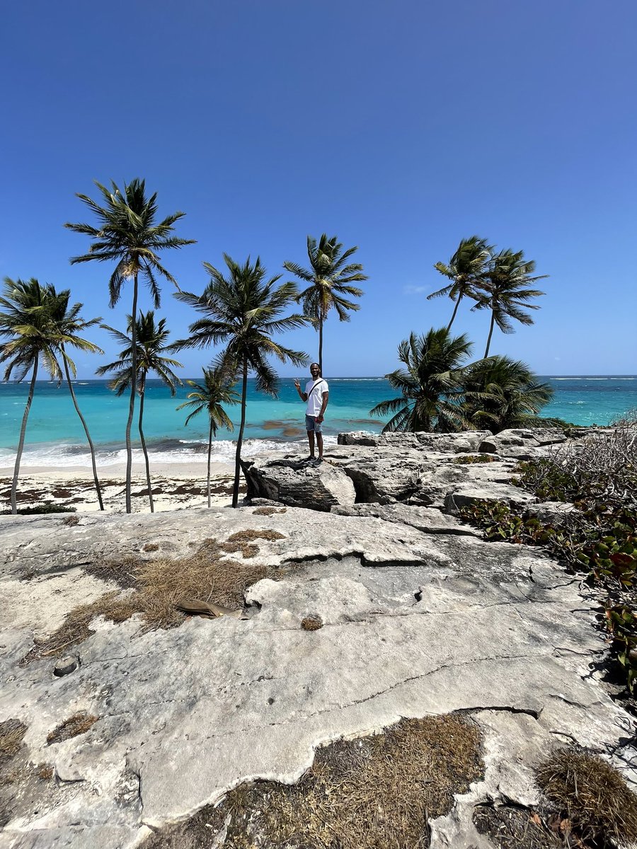 Mikazoiid's tweet image. Bring back the weekend #weekenddump #islanddrive #Barbados