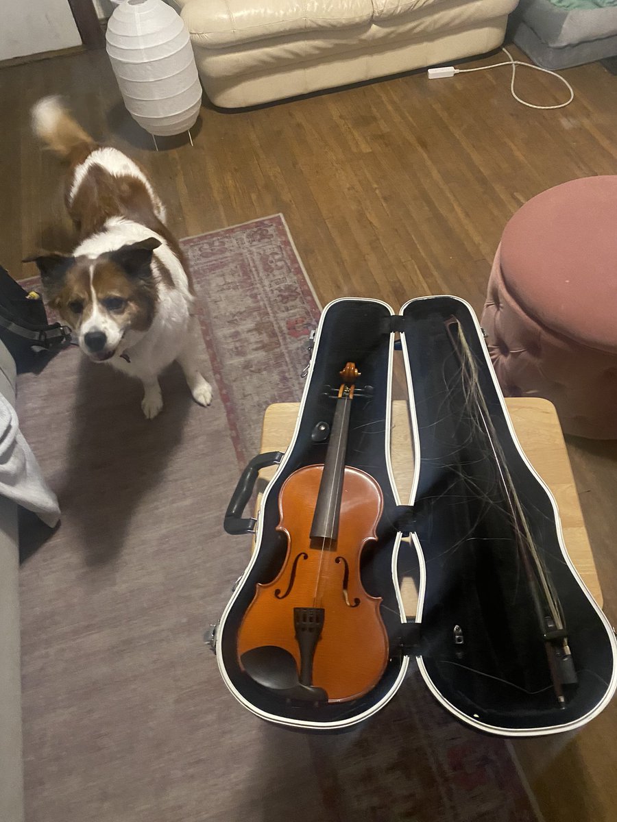 Ryan Vonderhaar tweet media