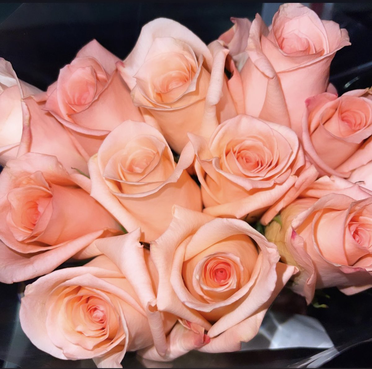 j_deniseeee's tweet photo. March: ๐ค
#InternationalWomensDay #PrincessTreatment #SelfLove #DatingMyself #JusticeForJelaniDay #AlwaysHer #ForeverBecoming https://t.co/4uGSIGwof7