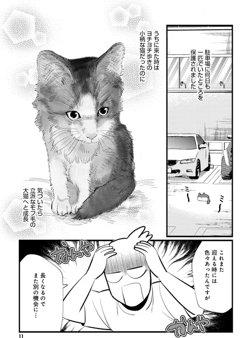 新しい家族と出会う最初の話3 