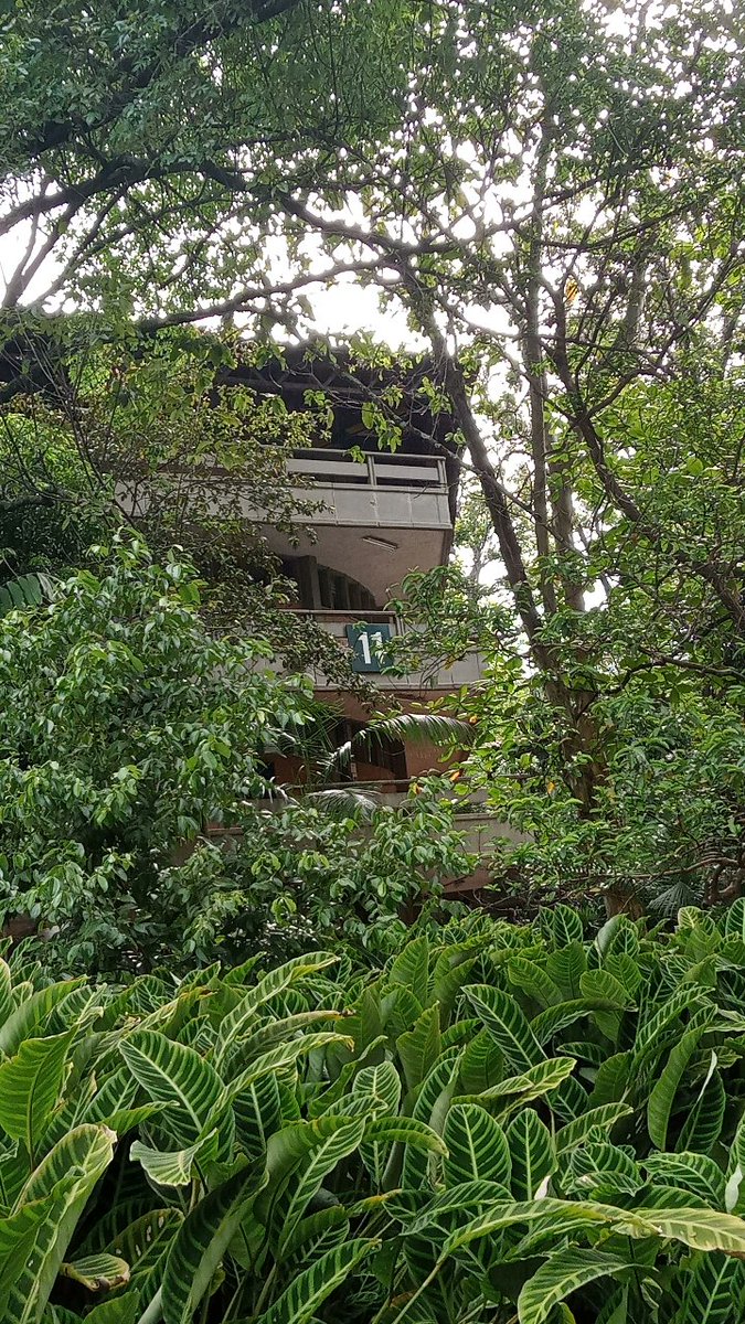 gs_dm_'s tweet photo. Claro que tengo un lugar favorito en el mundo: https://t.co/1Es5XidLfn
