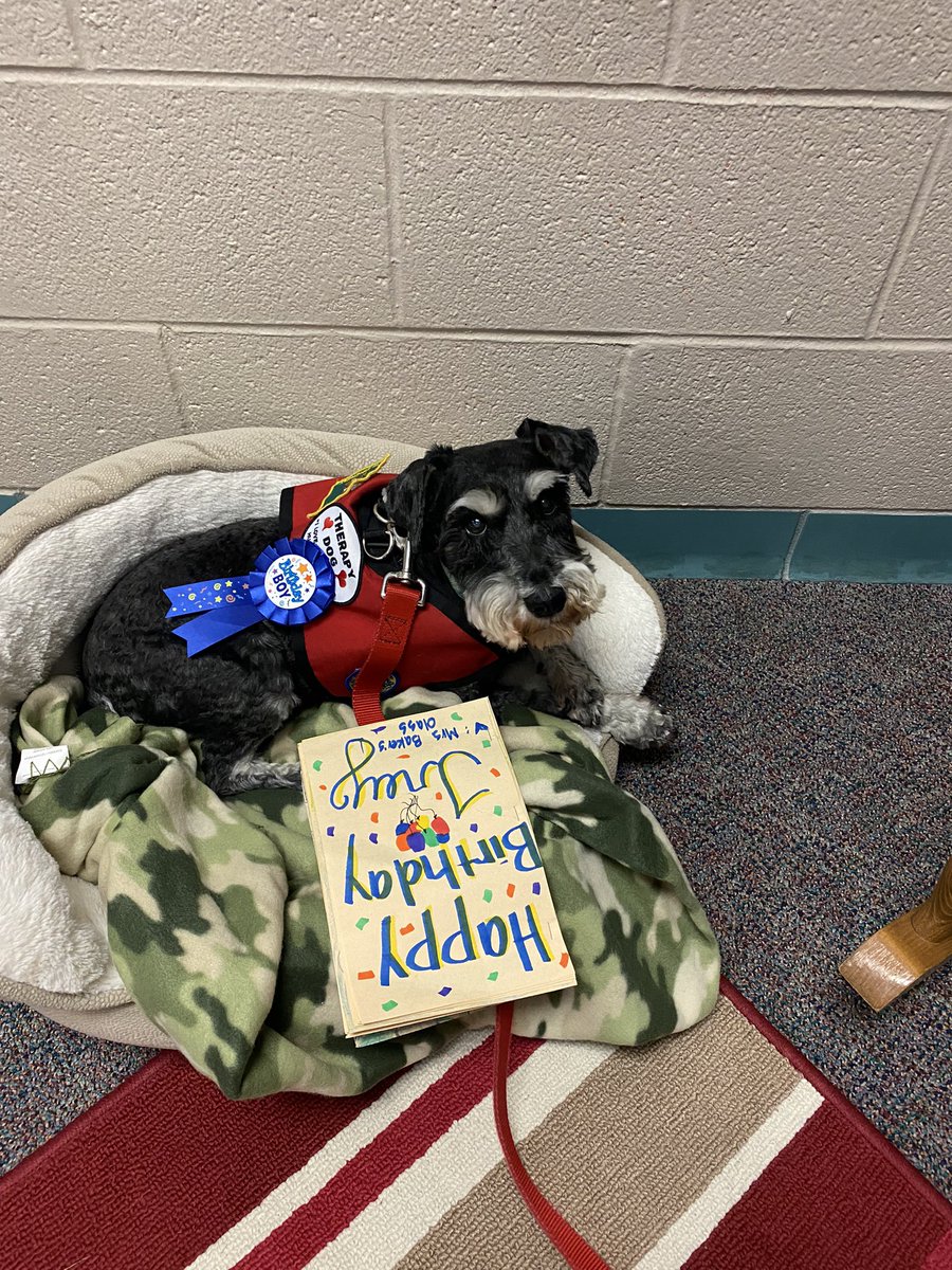 CounselorMbe's tweet photo. Happy 14th birthday Trey!! @MBEStuCo sponsored a “pet need drive” in his honor!! He loved all the love!! @HumbleISD_MBE https://t.co/CuHiD7HZLz